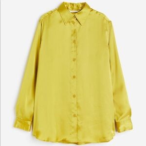 Oversized Sheen Button Down Blouse